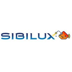 ЭнергоСвет