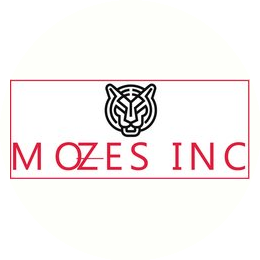 MOZES INC MOZES INC