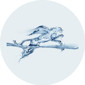 Курорт-Барс 2030