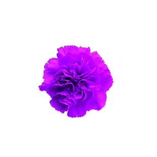 Diany Agency (ИП Черекбашева Диана Шавкатовна)