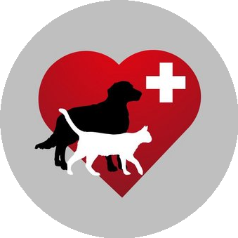 Дубинина Валерия Игоревна