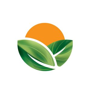 Апсны-Групп