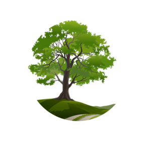 Интернет-магазин Venokshop.ru