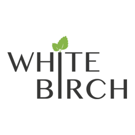 White Birch