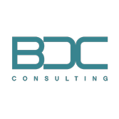Business Development Consulting