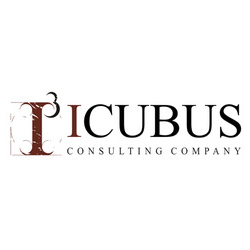 ICUBUS Consulting Company