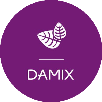 Дамикс