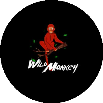 Wild Monkey