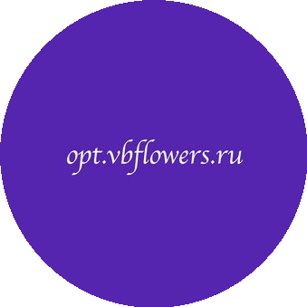 ВБ компани групп