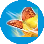 СКАТЕРТЬЮ ДОРОГА, сеть Бюро Путешествий