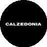 Calzedonia (ИП Цветков Александр Дмитриевич)