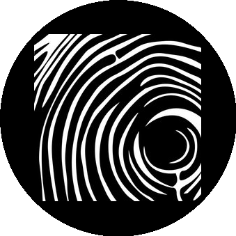 Авторский проект