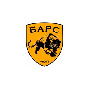 Частная охранная организация Барс П