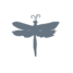 DragonFly Studio