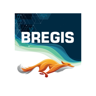 Брегис