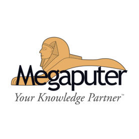 Megaputer Intelligence, Компания