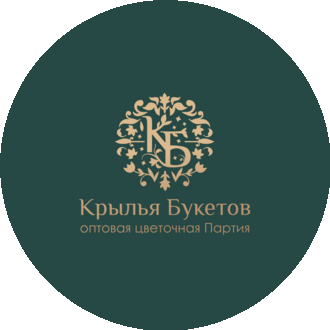 Садакова Анастасия Михайловна
