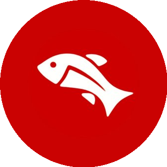 МУХАРЛЯМОВ Р.Р.