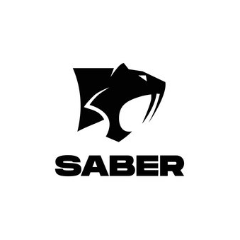 Saber Interactive