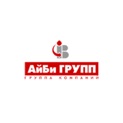 АйБи Групп, группа компаний