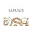 La Pulce
