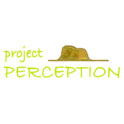 Perception