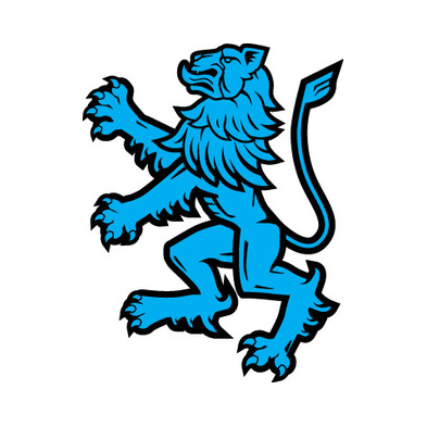 Би Си Ди Партнерс