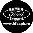 BambR Ford Service