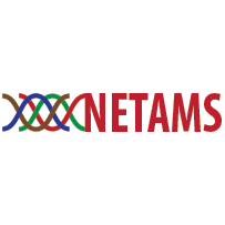 Нетамс
