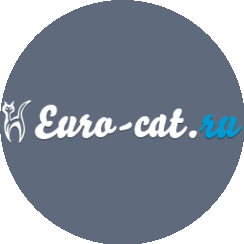 Euro-Cat, Магазин