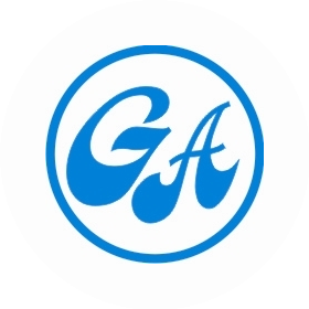 Дженерал аудиторс