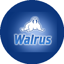 Walrus