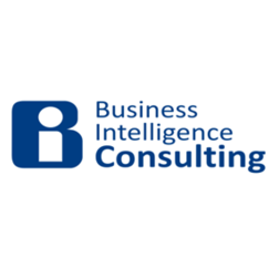 BI-Consulting