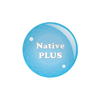 NativePlus Сетевая Языковая Школа