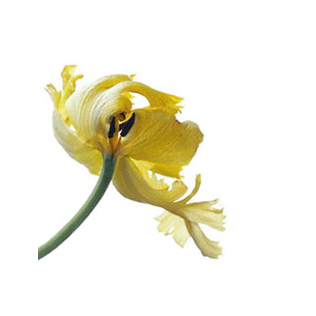 Вероника, Салон красоты