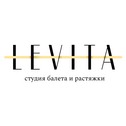 Левита (ИП Минин Павел Алексеевич)