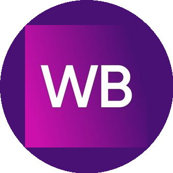 WILDBERRIES (ИП Соломин Константин Владимирович)