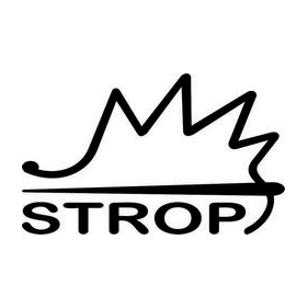 Саневич Григорий Аронович