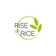 Rise of Rice