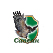 Сапсан, ЧОП