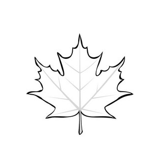 Maple Leaf