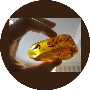 Никольский Владимир