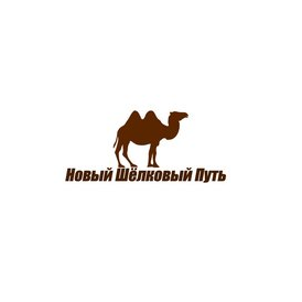 Новый Шелковый Путь