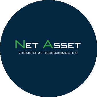 Net Asset