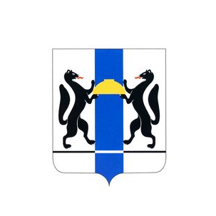 Государственное бюджетное учреждение здравоохранения Новосибирской области Городская клиническая поликлиника № 16