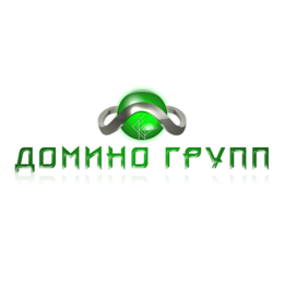 Домино Групп