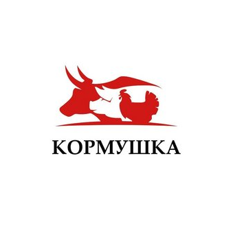 Цуркану Дмитрий Викторинович