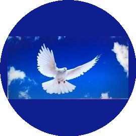 Богдан София Александровна