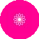 Majenta-flowers