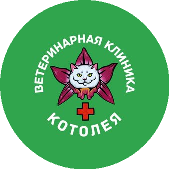 Ветеринарная Клиника Котолея